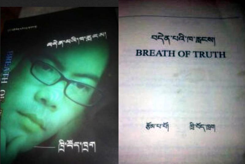 Tritsun-book-2013